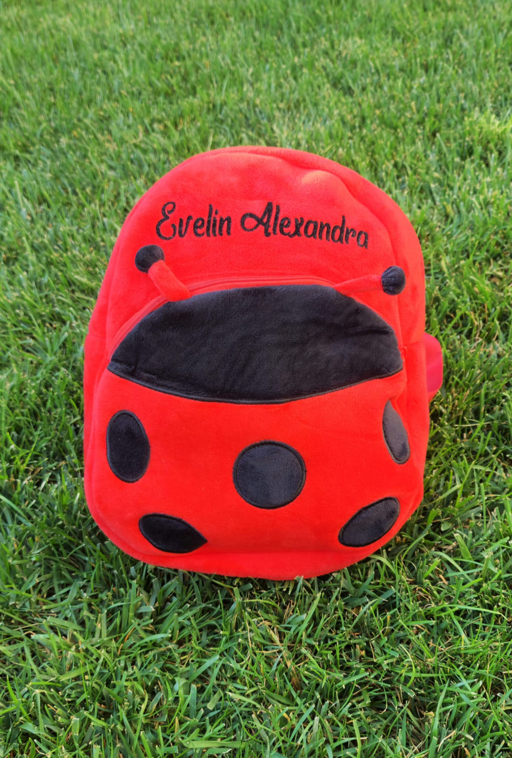 Rucsac Personalizat cu nume, model Buburuza- Evelin Alexandra